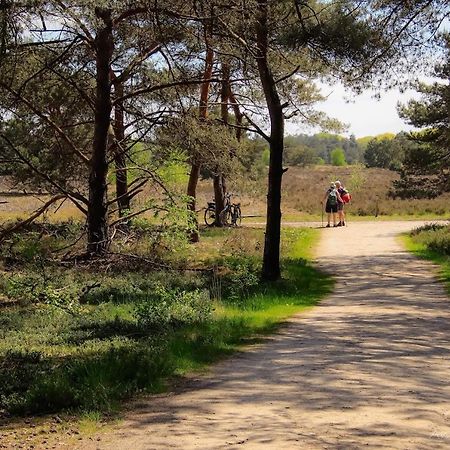 Luxe Woodlodge In Een Prachtige En Bosrijke Omgeving Bornerbroek ภายนอก รูปภาพ